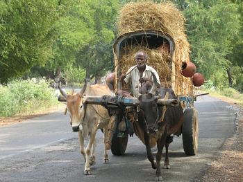 भारत देश को आजादी प्राप्त होने के बाद हमारे देश की केंद्र सरकार ने गांवों के विकास को सर्वाधिक प्राथमिकता दी | तब से लेकर आज तक “गांवों के विकास में केंद्र सरकार की महत्वपूर्ण भूमिका